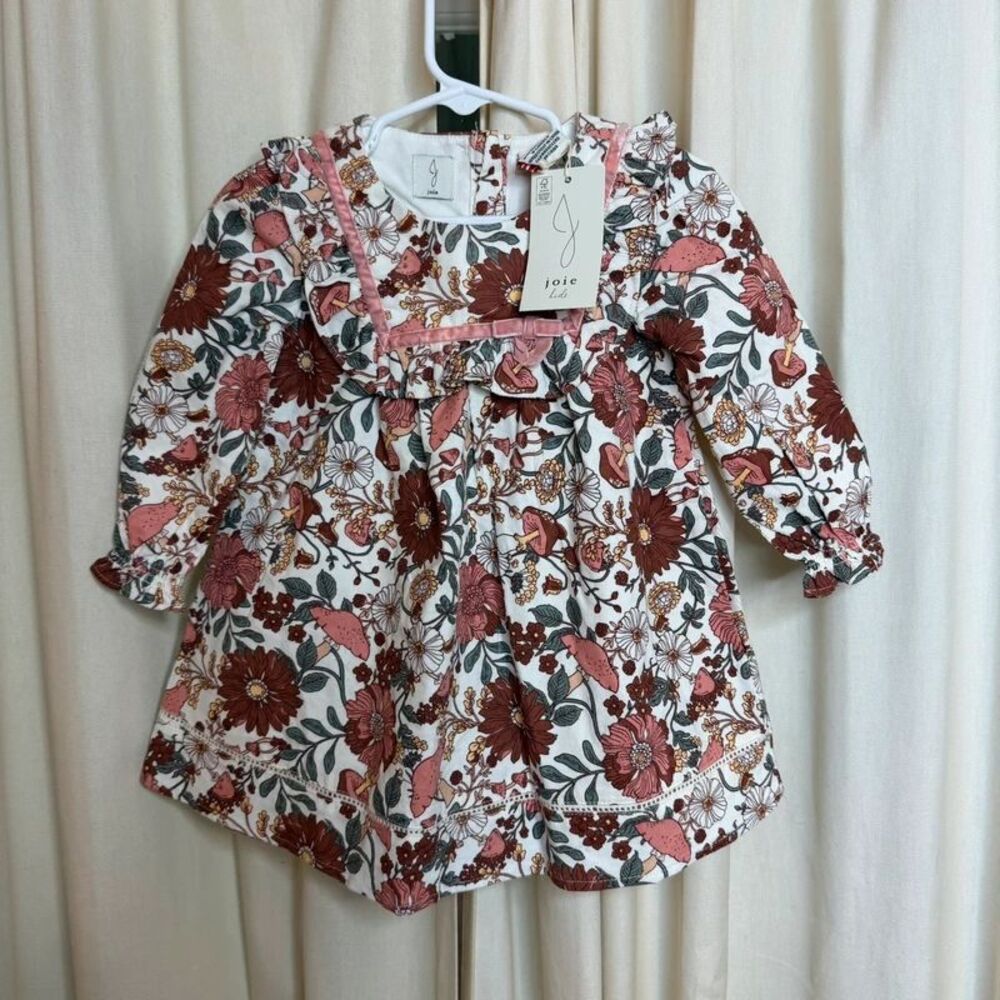NWT Joie long-sleeve floral mushroom dress toddler girl 24 months